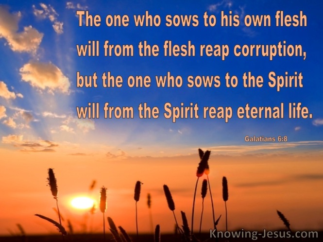 Galatians 6-8 Sowing To The Flesh and Spirit blue