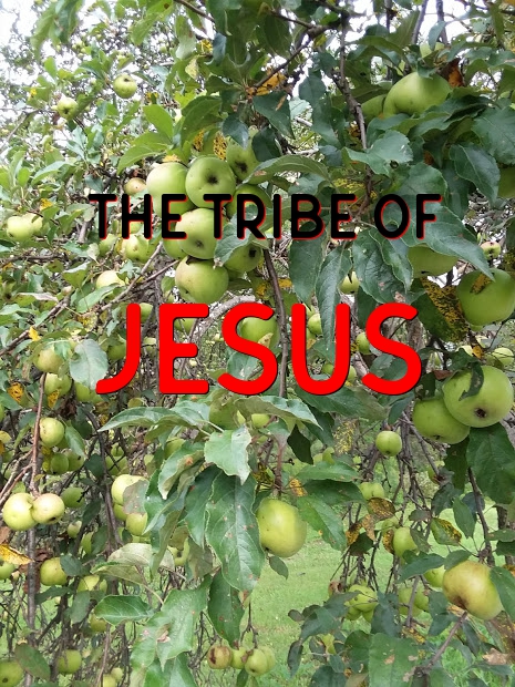The Tribe of Jesus 11-11-18